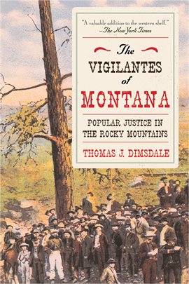 Cover image for The Vigilantes of Montana