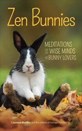 Cover image for Zen Bunnies