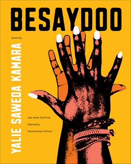 Cover image for Besaydoo