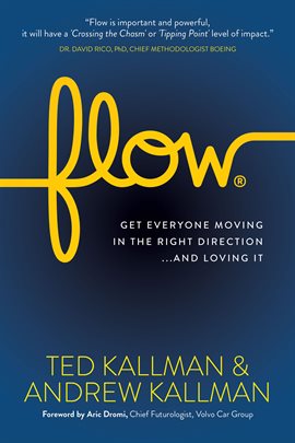 Cover image for Flow