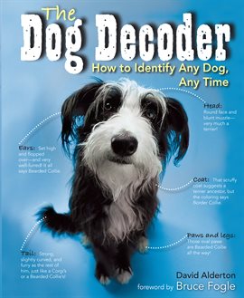 Cover image for The Dog Decoder