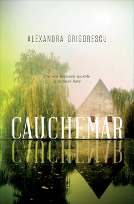 Cover image for Cauchemar