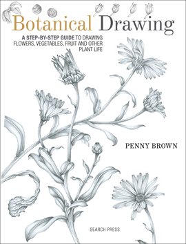 Cover image for Botanical Drawing