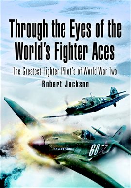 Cover image for Through the Eyes of the World's Fighter Aces