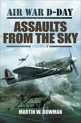 Cover image for Assaults from the Sky