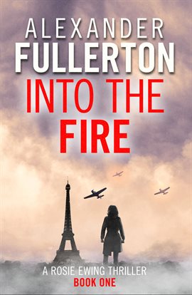 Cover image for Into the Fire