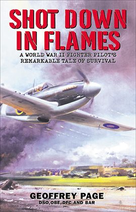 Cover image for Shot Down in Flames