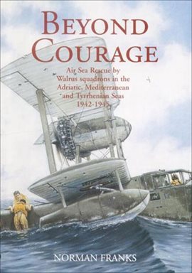 Cover image for Beyond Courage