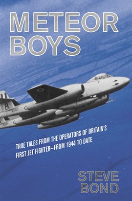 Cover image for Meteor Boys