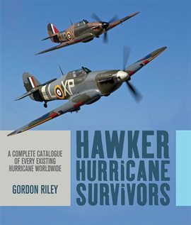 Cover image for Hawker Hurricane Survivors