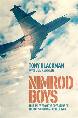 Cover image for Nimrod Boys