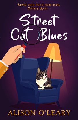 Imagen de portada para Street Cat Blues