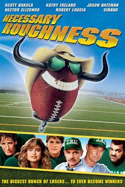 Cover image for Necessary Roughness