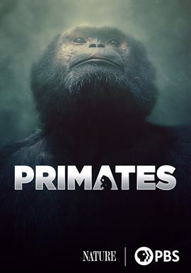 Imagen de portada para Protecting Primates