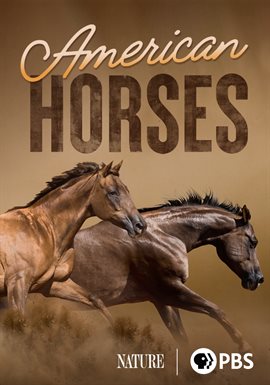American Horses