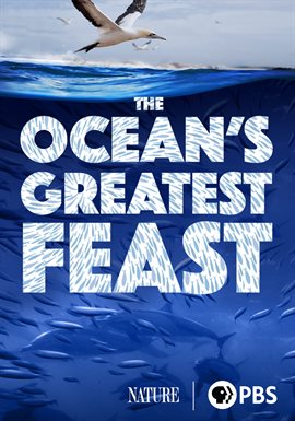 The Ocean's Greatest Feast