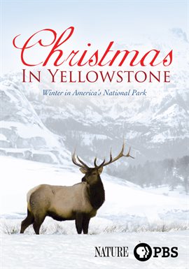 Cover image for Christmas in Yellowstone