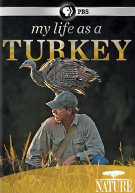 Cover image for My Life as a Turkey