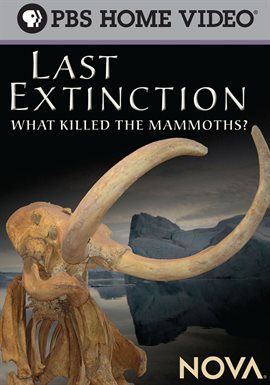 Cover image for Last Extinction