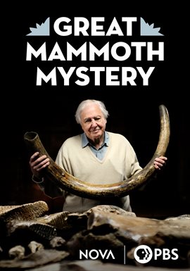 Cover image for Great Mammoth Mystery