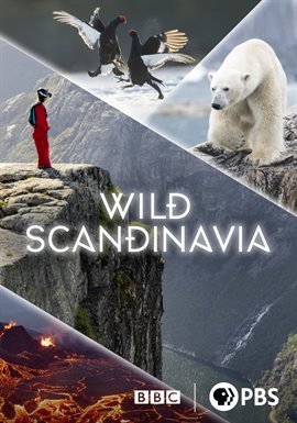 Imagen de portada para Heartlands