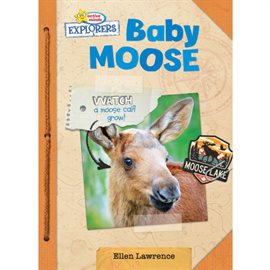 Cover image for Baby Moose