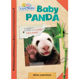 Cover image for Baby Panda