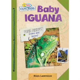 Cover image for Baby Iguana