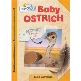 Cover image for Baby Ostrich