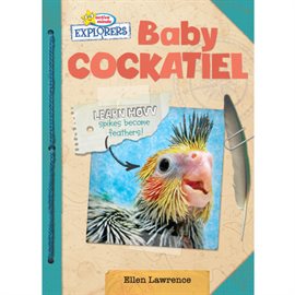 Imagen de portada para Baby Cockatiel