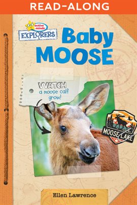 Cover image for Baby Moose