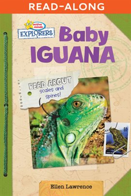 Cover image for Baby Iguana