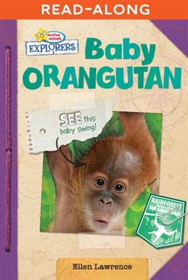 Cover image for Baby Orangutan