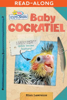 Cover image for Baby Cockatiel
