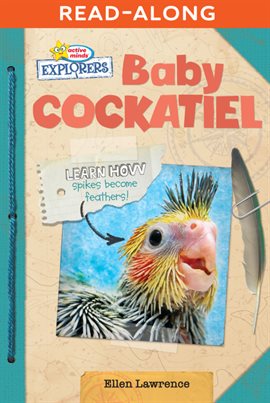 Imagen de portada para Baby Cockatiel