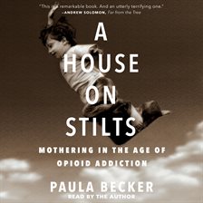 Cover image for A House on Stilts