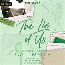 Cover image for The Lie of Us