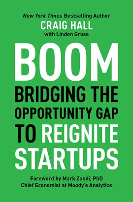 Cover image for Boom