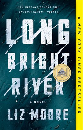 Cover image for Long Bright River