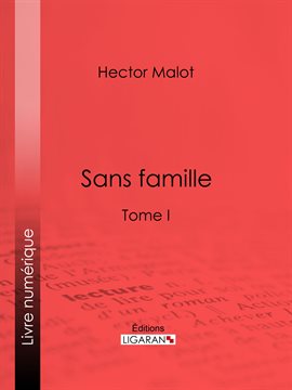Cover image for Sans famille
