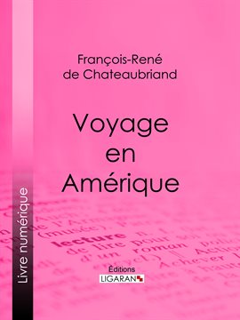 Cover image for Voyage en Amérique