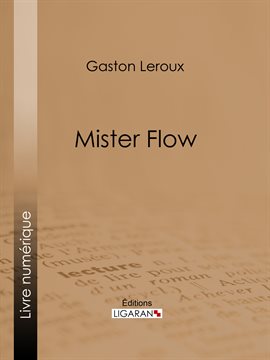 Cover image for Mister Flow