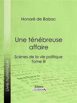 Cover image for Une ténébreuse affaire