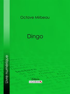 Cover image for Dingo