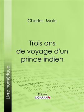 Cover image for Trois ans de voyage d'un prince indien