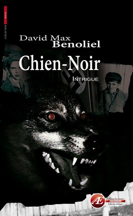 Cover image for Chien-Noir