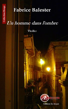 Cover image for Un homme dans l'ombre