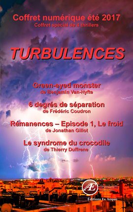 Cover image for Turbulences