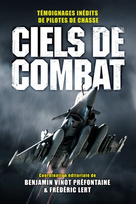 Cover image for Ciels de combat