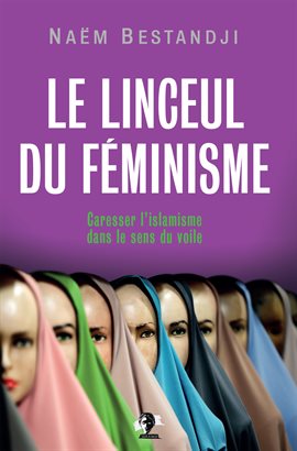 Imagen de portada para Le linceul du féminisme